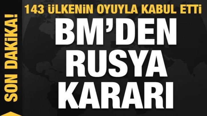 BM, Rusya'yı kınayan kararı kabul etti