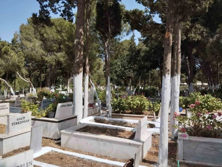 Bodrum Belediyesi Cenaze Hizmetleri Birimi bakım ve temizlik çalışmalarını hızlandırdı
