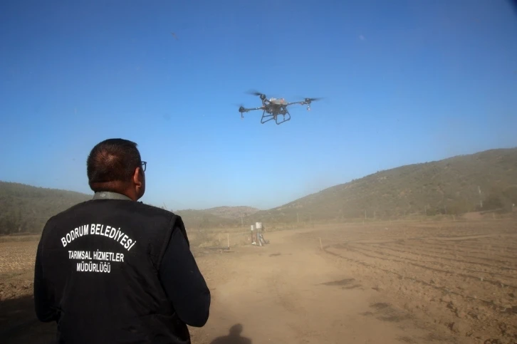 Bodrum Belediyesi’nde drone ile ilaçlama dönemi başlıyor
