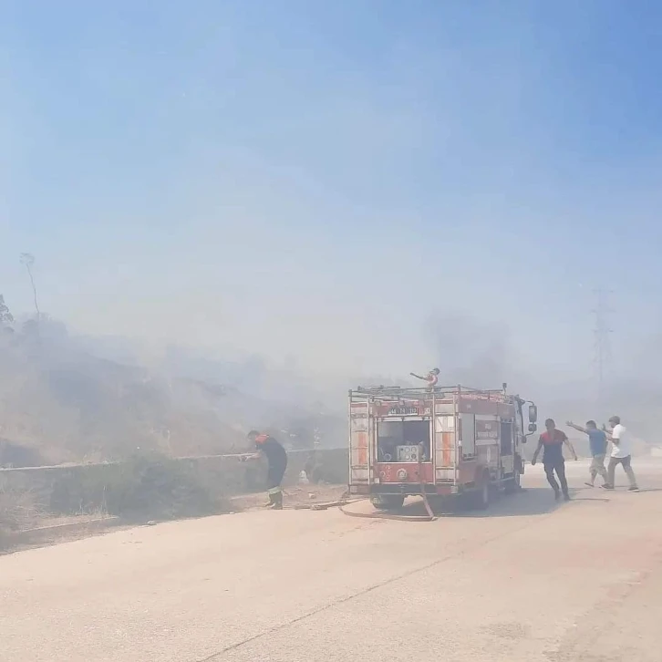 Bodrum’da makilik alanda yangın
