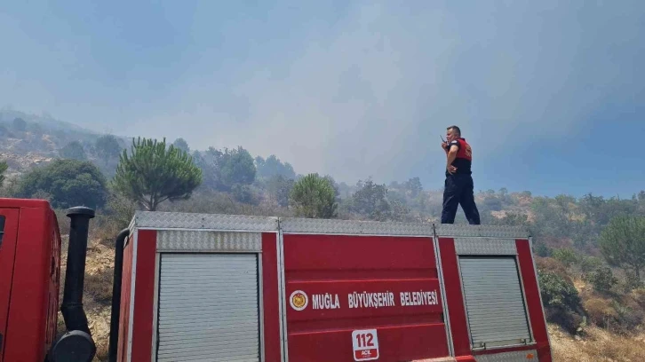 Bodrum’da makilik alanda yangın çıktı
