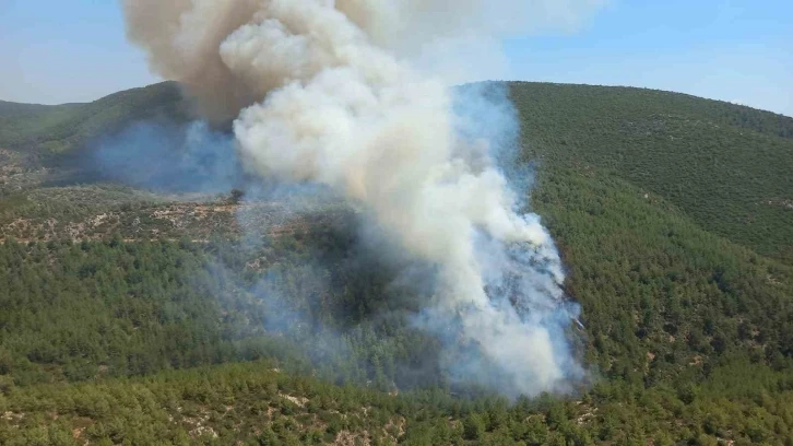 Bodrum’da orman yangını
