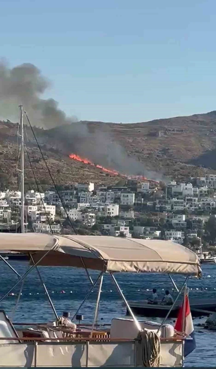 Bodrum’da ünlülerin mahallesinde yangını
