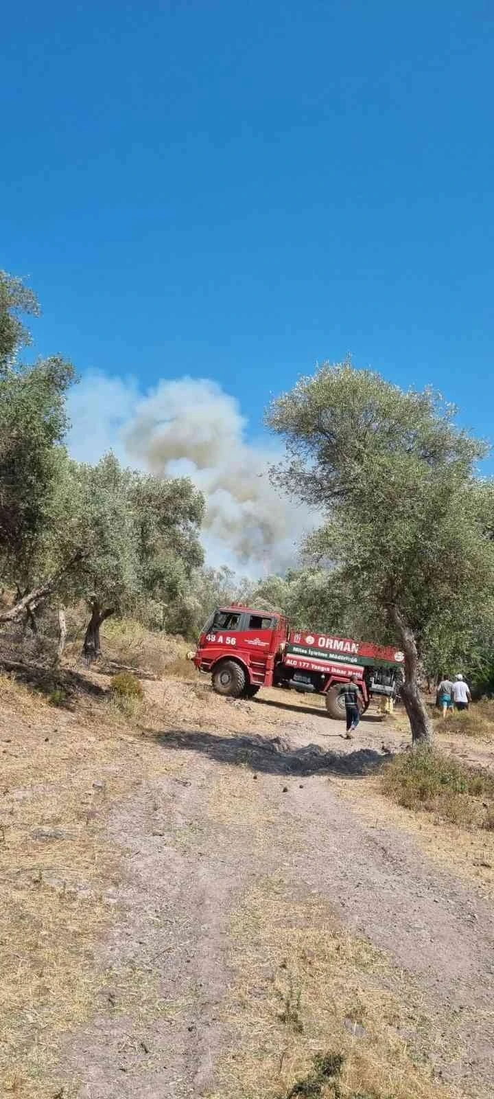 Bodrum’daki orman yangını kontrol altına alındı
