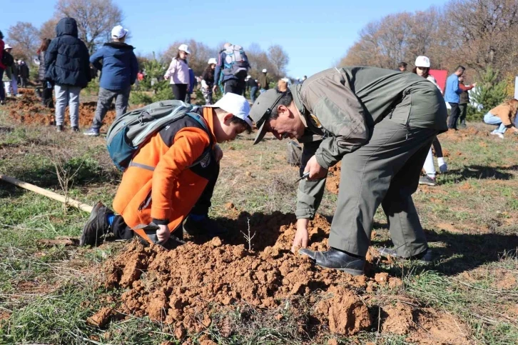 Bolu’da 43 bin 500 fidan toprakla buluştu
