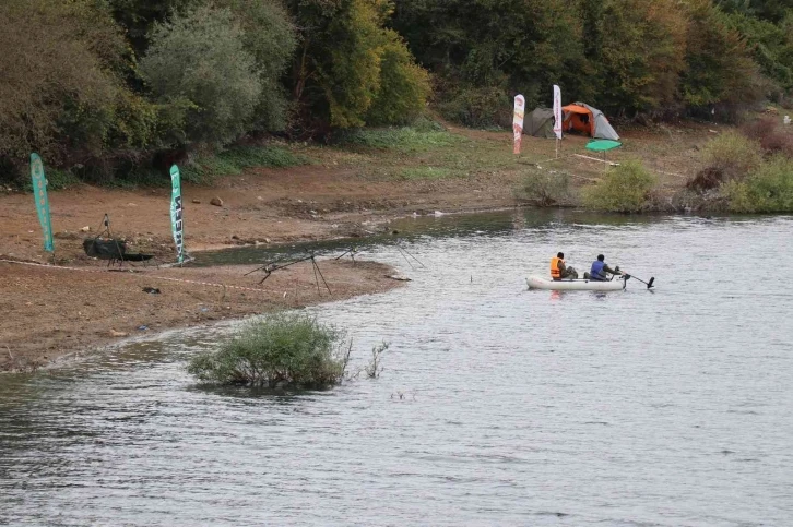 Bolu’da balık ölümleri sazan yakalama yarışını sonlandırdı
