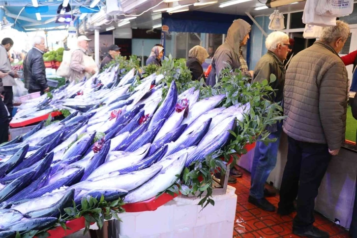 Bolu’da balık tezgahları palamut ve hamsiyle doldu
