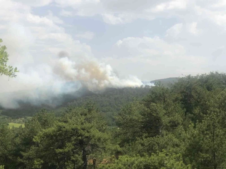 Bolu’da orman yangını
