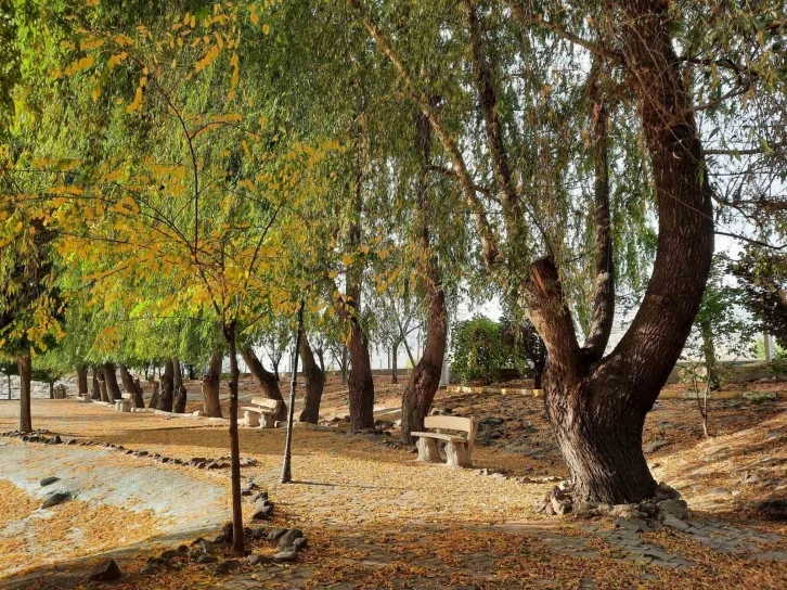 ‘Bor’da Sonbahar’ temalı fotoğraf  yarışması sonuçlandı
