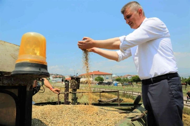 Boş araziden 20 ton buğday hasat edildi
