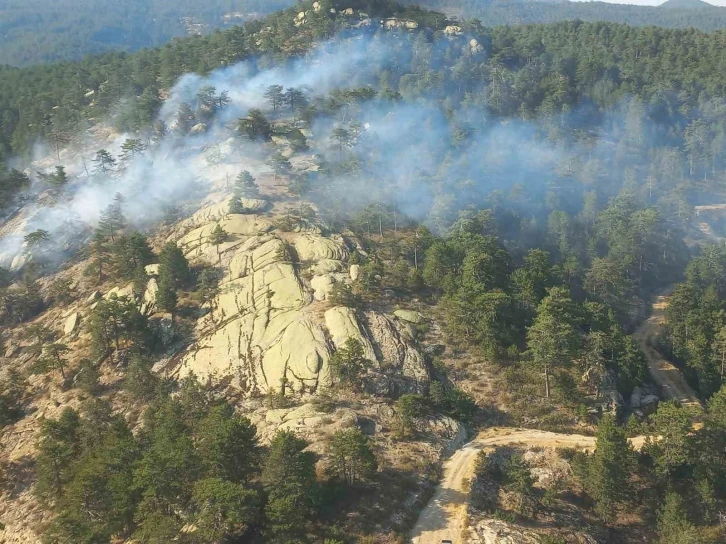Bozdoğan’daki orman yangını kontrol altına alındı
