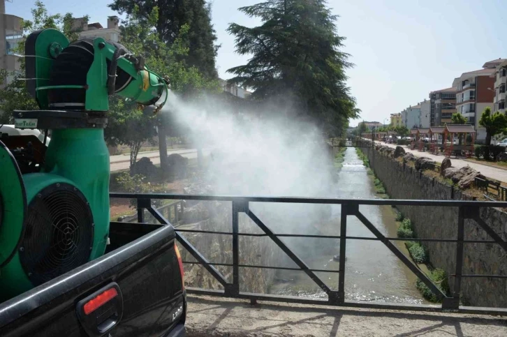 Bozüyük Belediyesi’nden haşere mücadelesi
