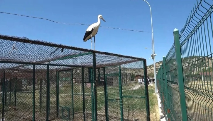 Bu da Kütahya’nın ’Yaren’i
