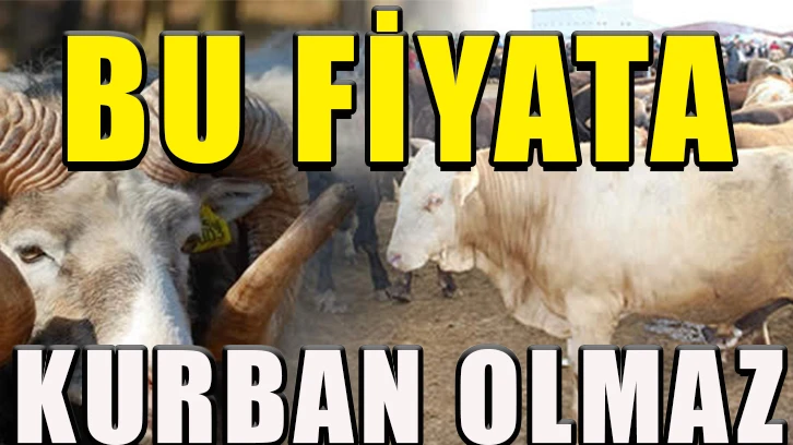 “Bu fiyata kurban olmaz…”