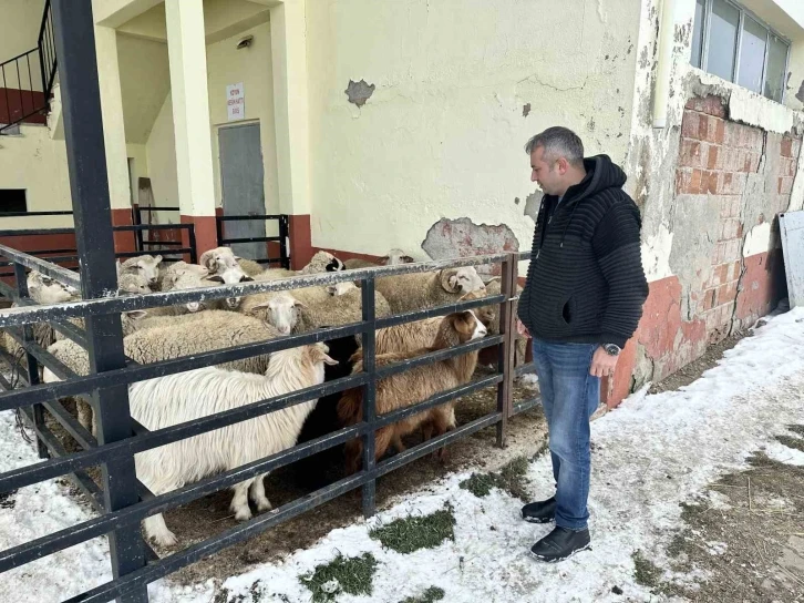 Bu ilçede ahırından koyununu alan depremzedelere bağışladı
