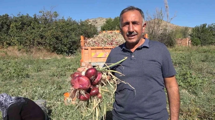 Bu köyde yaşayanların yüzde 90’ının gelir kaynağı ’soğan’
