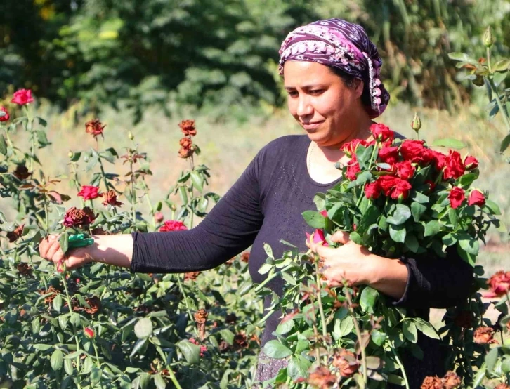 Bu sera hem işsiz kadınları istihdam ediyor hem de çocukların yüzünü güldürüyor
