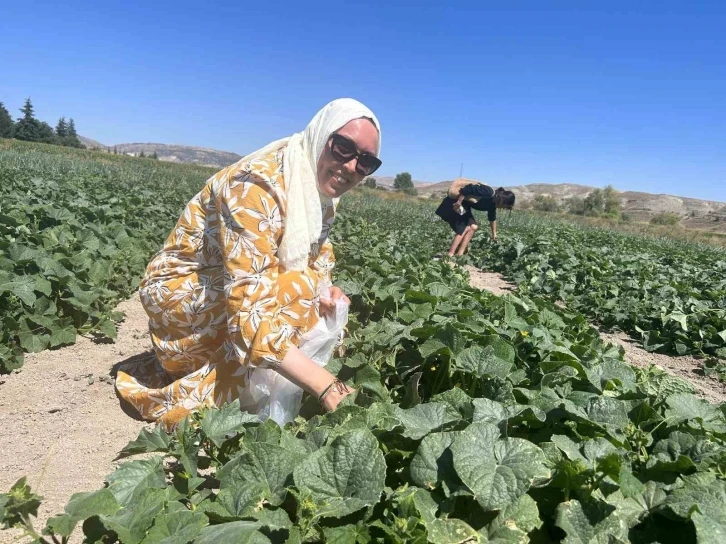 Bu tarlaya gelen istediğini seçer
