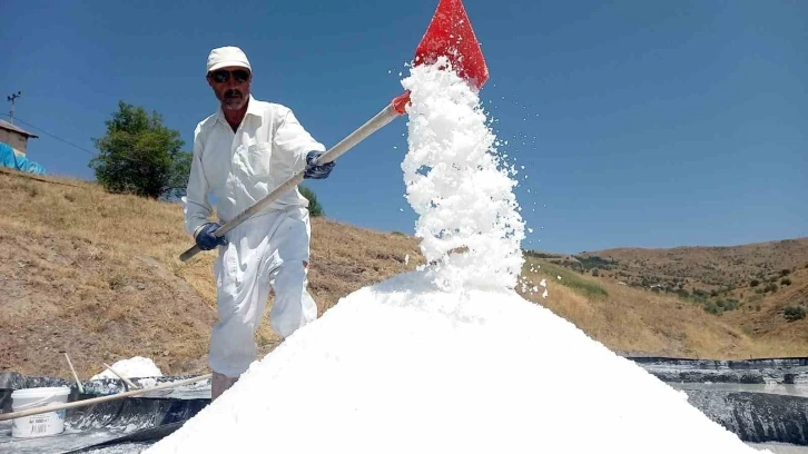 Bu tuzun içinde insan sağlığına yararlı 84 mineral bulunuyor
