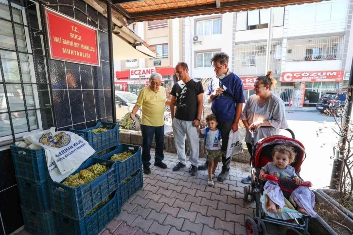 Buca’da bağ bozumu bereketi
