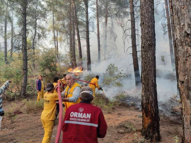 Bucak’ta çıkan orman yangını büyümeden kontrol altına alındı
