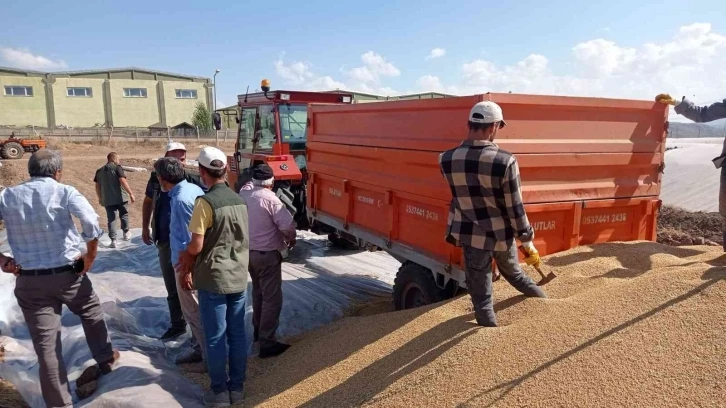 Buğdayda rekor üretimle ambarlarda boş yer kalmadı
