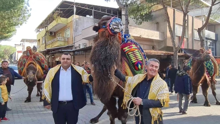 Buharkent’te güreşecek develer şehir turuna çıktı
