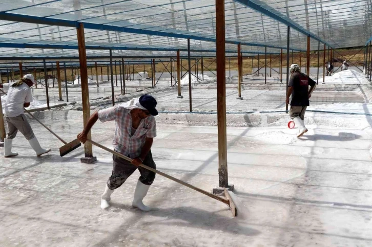 Bunaltıcı sıcaklar 3 bin yıllık "Kemah tuzu"na bereket getirdi
