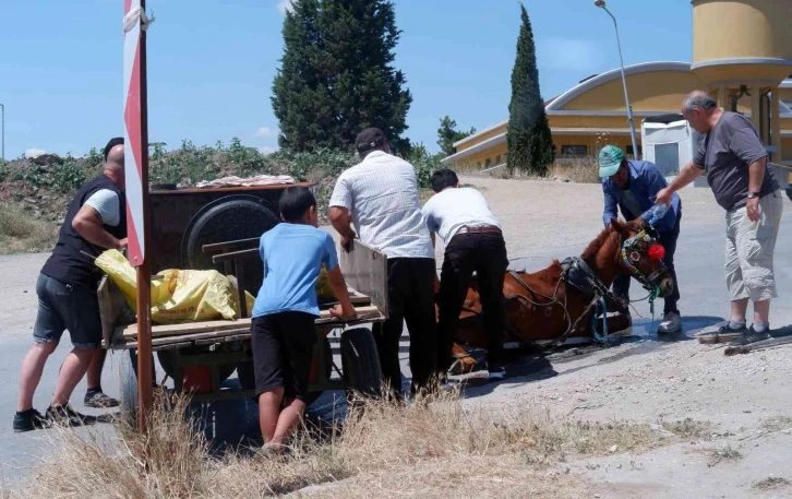 Bunaltıcı sıcakta yük ve insan taşıyan at, yere yığıldı zor anlar yaşadı
