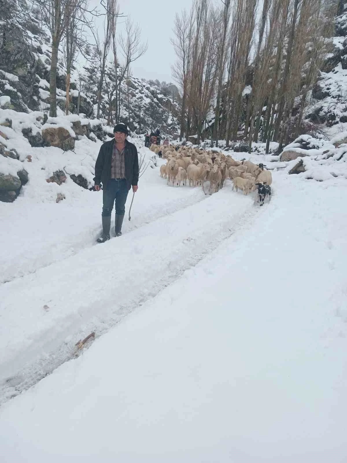 Burdur’da sürüsüyle birlikte mahsur kalan çoban kurtarıldı
