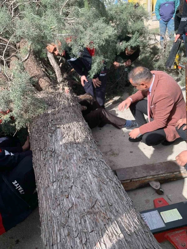 Burdur’da üzerine ağaç devrilen belediye başkan adayı ve oğlu ağır yaralandı
