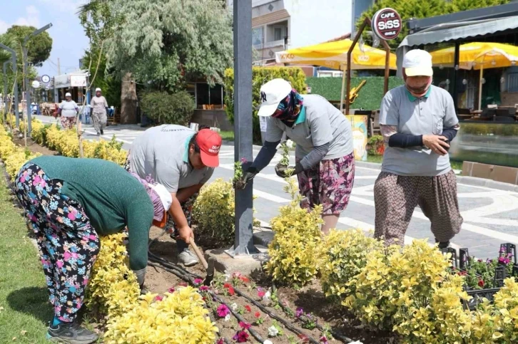 Burhaniye Belediyesi 2023 yılında yeşil bir çevre için çalışmalarını sürdürdü
