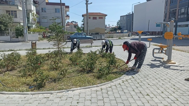 Burhaniye’de yabani otlar temizleniyor
