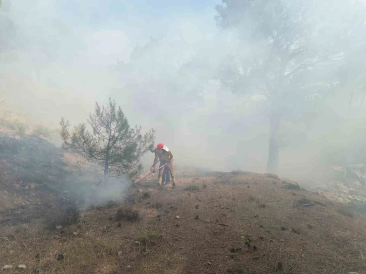 Burhaniye’deki orman yangını kısa sürede kontrol altına alındı
