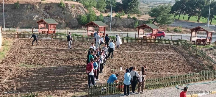 Burhaniye Uygulamalı Bilimler Fakültesi’nde sebze yetiştirilecek
