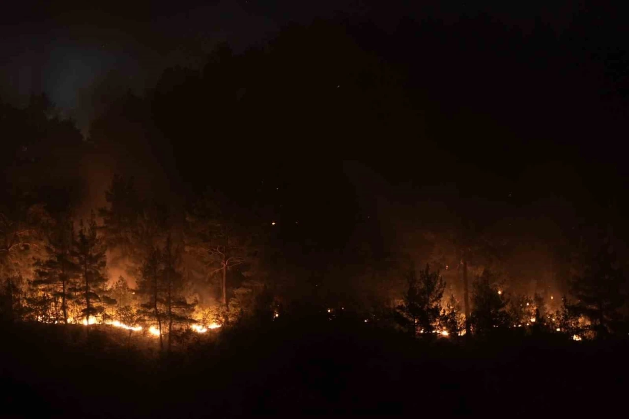 Bursa-Balıkesir il sınırındaki orman yangınına 8. saatinde müdahale devam ediyor
