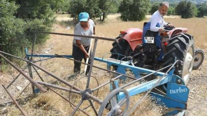 Bursa Büyükşehir'in çiftçiye desteği sürüyor