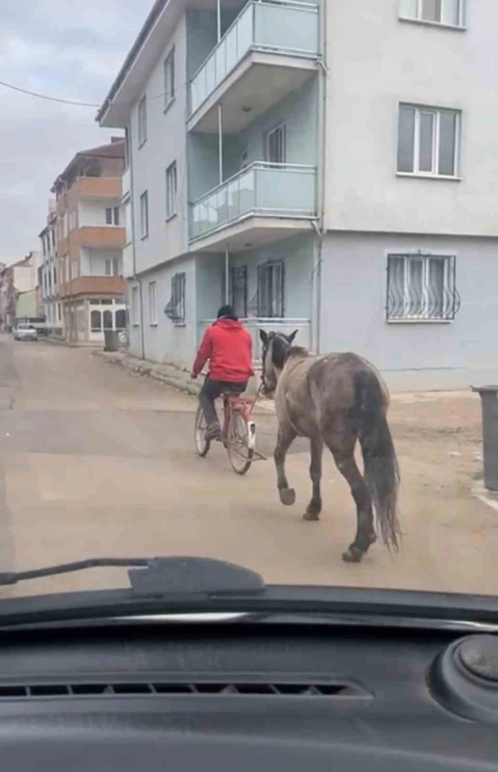 Bursa’da atı bisikletine bağlayarak götürdü
