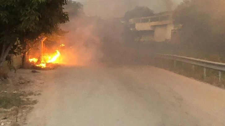 Bursa’da çalılık alanda çıkan yangın paniğe sebep oldu
