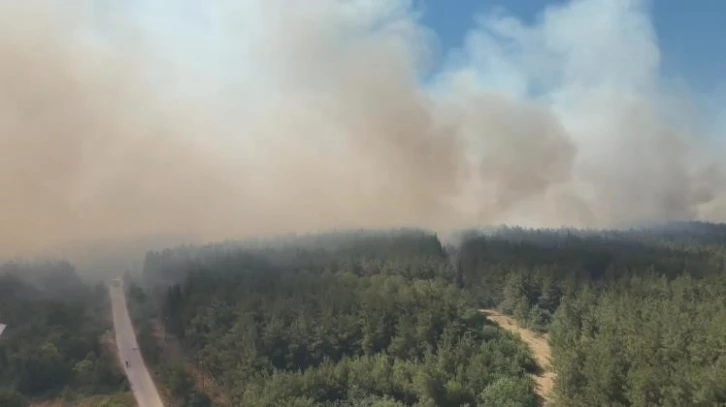 Bursa’da çıkan orman yangınıyla ilgili Cumhuriyet Başsavcılığı soruşturma başlattı
