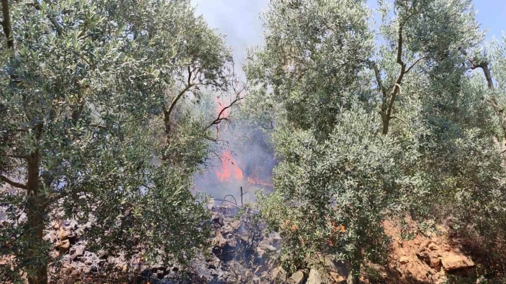 Bursa’da dört noktada aynı anda yangın
