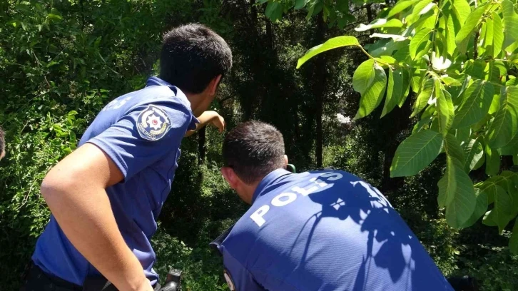 Bursa’da gezinmek için çıktığı yoldan 30 metre aşağıya düştü
