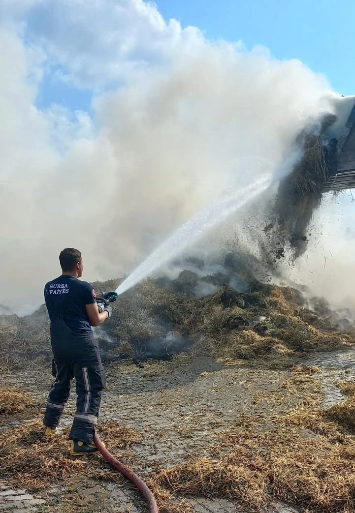 Bursa’da hayvan çiftliğinde yangın
