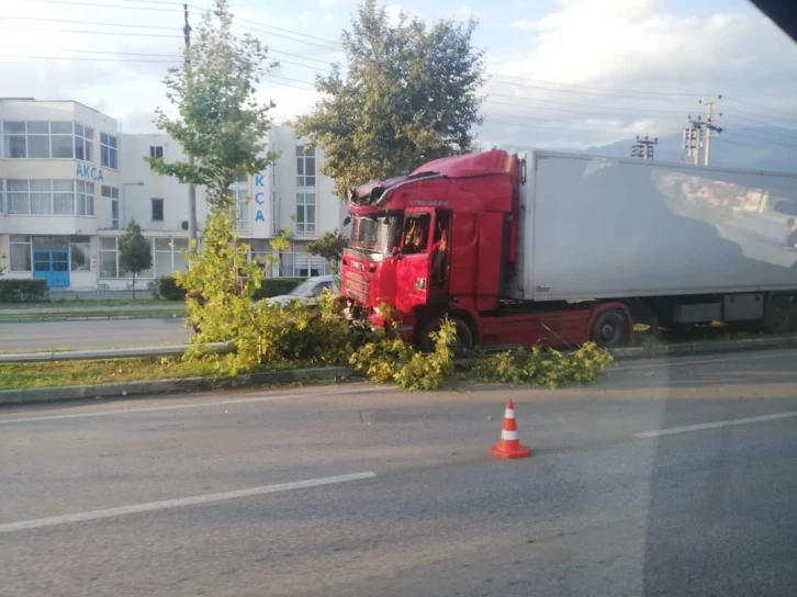 Bursa’da kontrolden çıkar tırı, ağaçlar durdurdu
