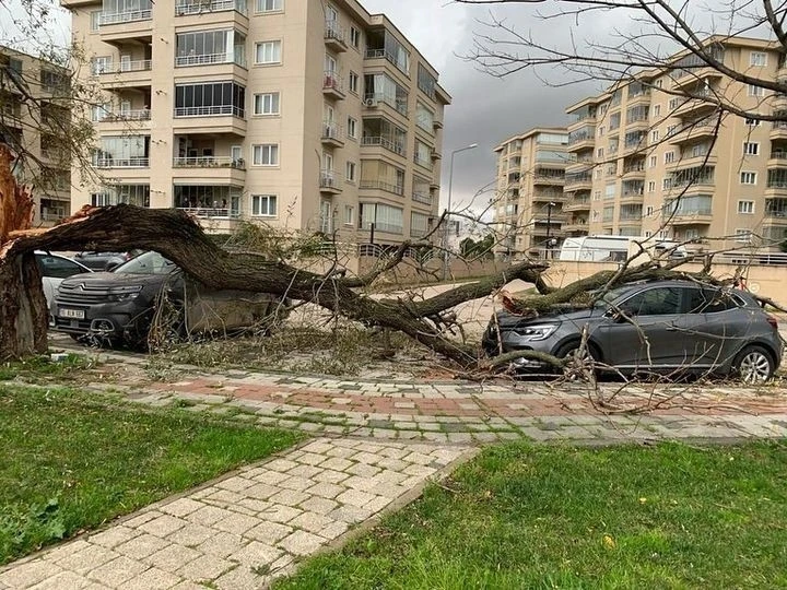 Bursa’da lodos hayatı felç etti: Ağaçları devirdi, çöp konteynerlerini sürükledi
