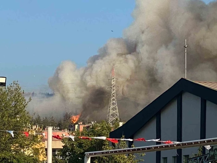 Bursa’da orman yangını
