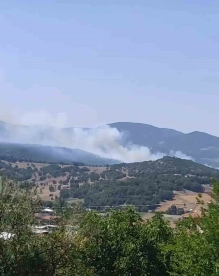 Bursa’da orman yangını çıktı, havadan ve karadan müdahaleler başladı
