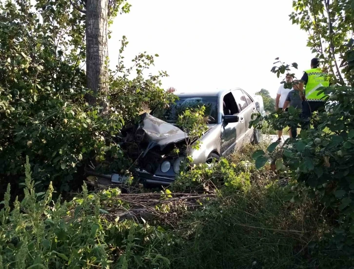 Bursa’da otomobil ağaçlara çarptı: 2 yaralı
