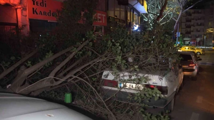 Bursa’da şiddetli lodosun etkisiyle kırılan ağaç, park halindeki otomobilin üzerine düştü
