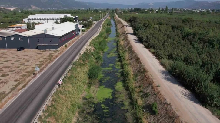 Bursa’da sulama kanalları kurudu, balık ölümleri başladı, şeftali ve armut kuruyor
